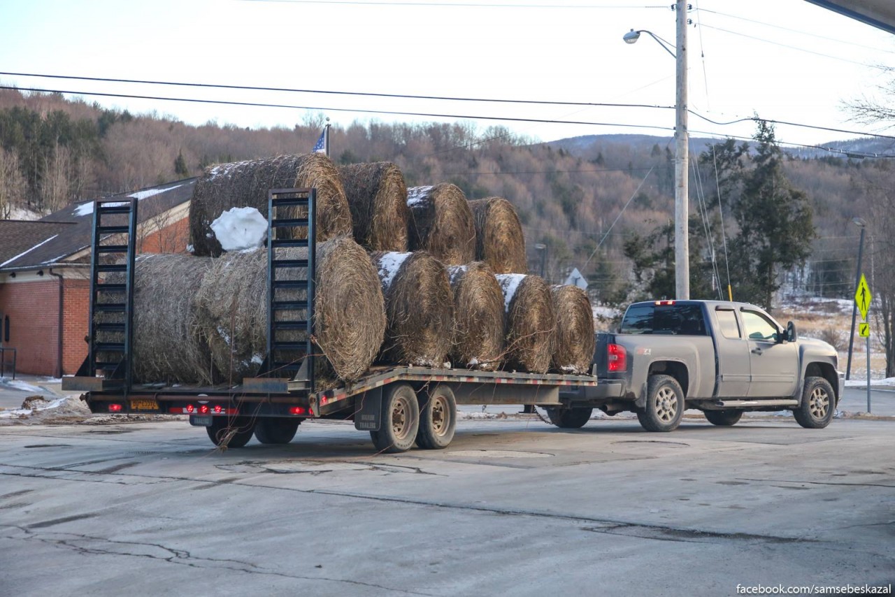 Сравните сами:  как живут простые люди  США ,  в 200 км от Нью-Йорка глубинка