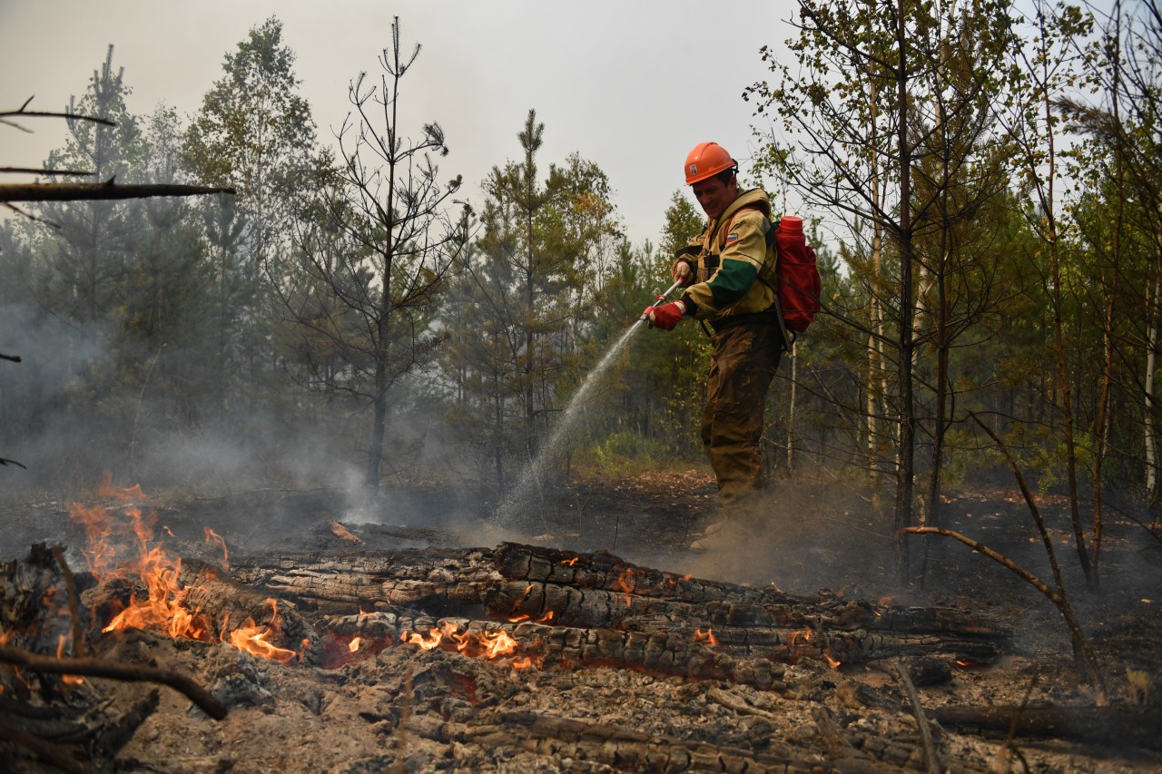 Читинский район снова вышел в лидеры по числу лесных пожаров в Забайкалье