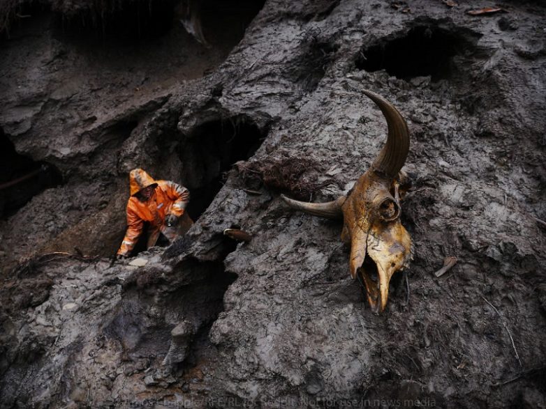 История о сибирских охотников на мамонтовые бивни. Как они богатеют, спиваются и умирают.