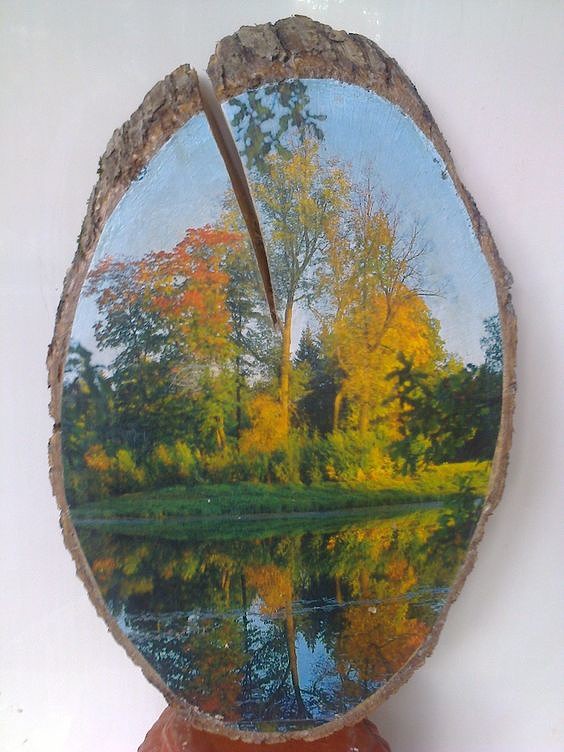 Картины на спиле дерева. Талантливо! Картины на спиле дерева. Талантливо! handmake,поделки своими руками,художество