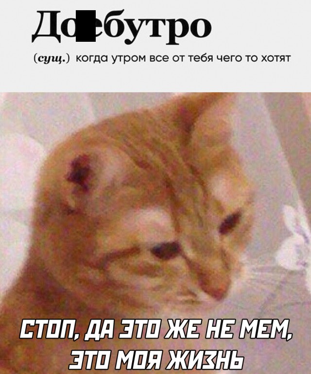 Подборка смешных картинок Подборка смешных картинок приколы,смешные картинки,юмор