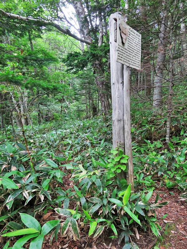 Кунашир: мыс Столбчатый Кунашир: мыс Столбчатый