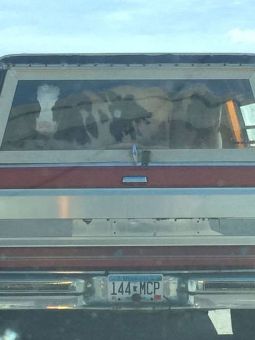 Странности в фотографиях (26 фото)