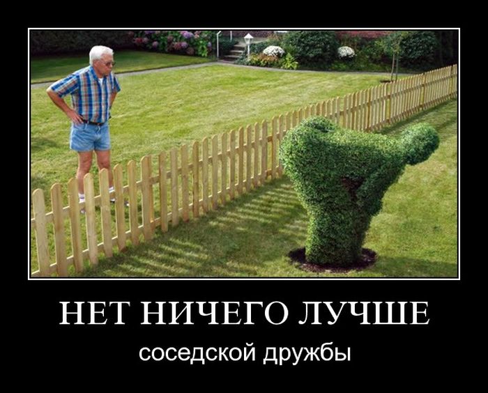 Веселые и смешные демотиваторы для настроения (10 фото)