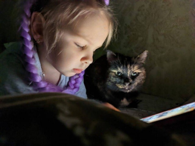 Прикольные картинки и мемы с котофеями : «Человек, я дома!»  