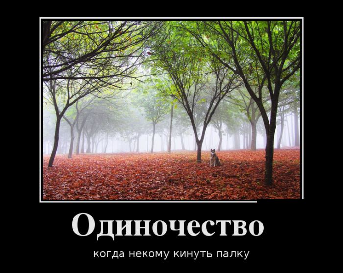 Демотиваторы выходного  дня 