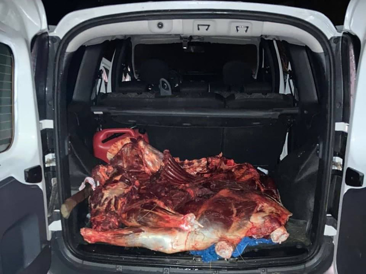 В деле Рашкина об убитом лосе всплыли новые пикантные подробности В деле Рашкина об убитом лосе всплыли новые пикантные подробности общество,Политика