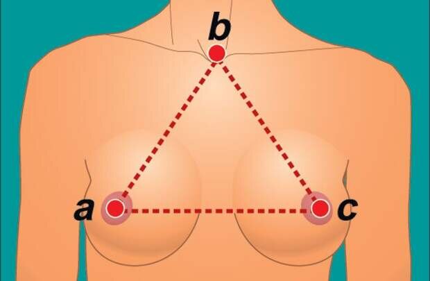 Самые интересные и неожиданные научные факты о женской груди женская грудь,медицина,наука,факты