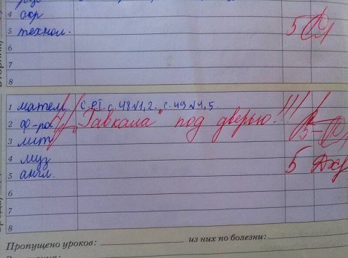 Смешные замечания из школьных дневников 