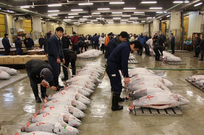 Самый большой в мире рыбный рынок