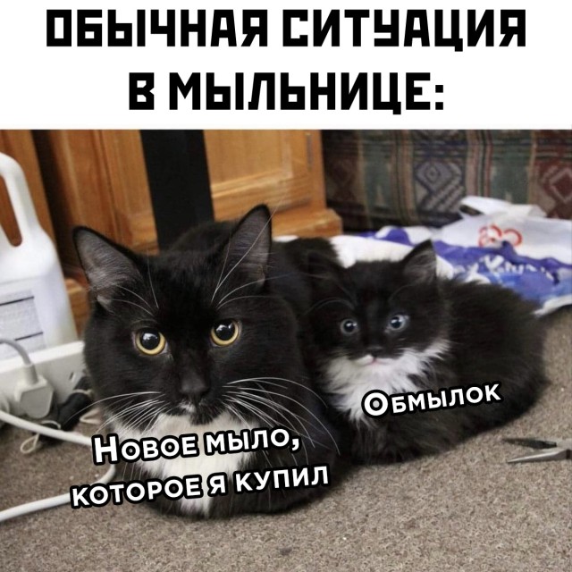 Подборка смешных картинок 