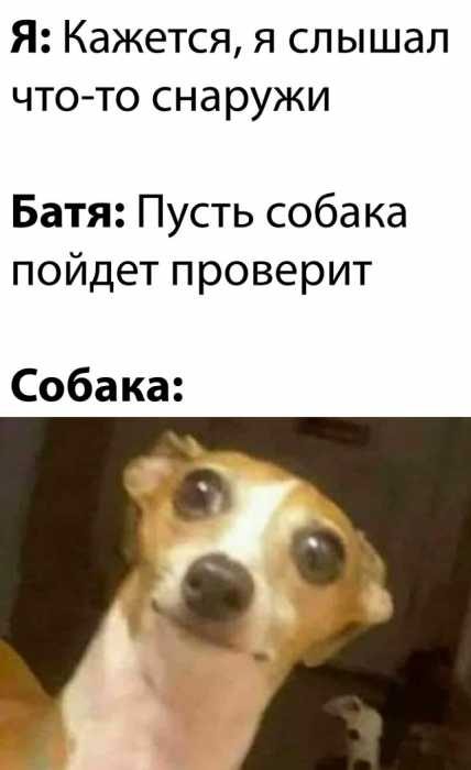 Улётные приколы Улётные приколы