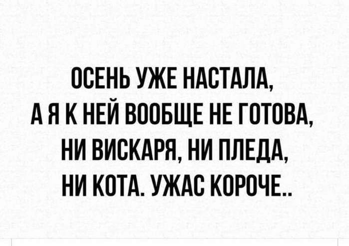 В наше время тоже были социальные сети. Пишешь на стене подъезда имя, а через день - вот тебе рядом и статусы, и комментарии... анекдоты,веселые картинки,приколы,юмор