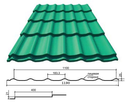 metallocherepica maxsi .jpg