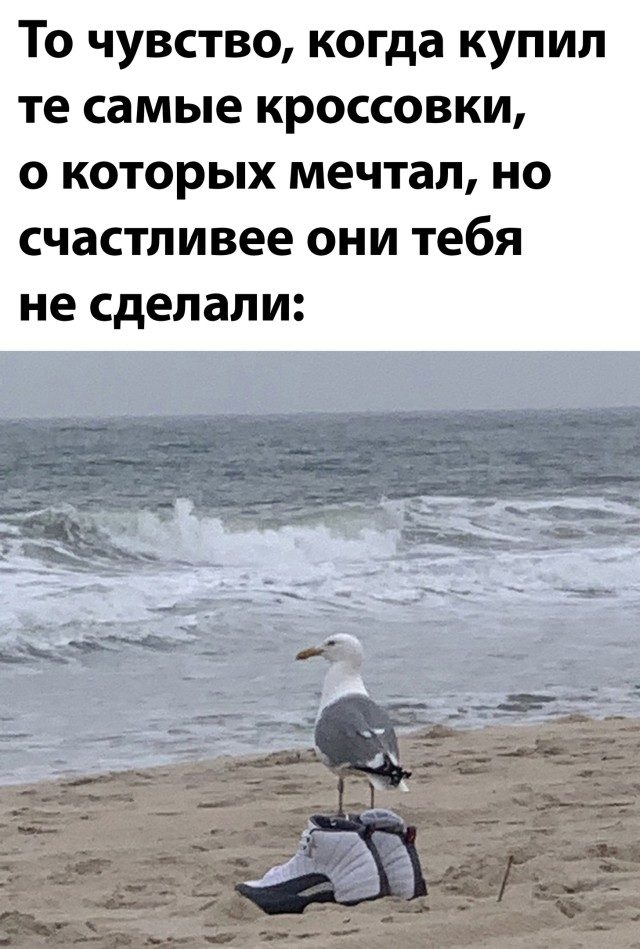 Майские приколы 2021 Майские приколы 2021 позитив,смешные картинки,юмор