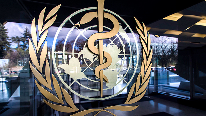 БЕДА ВМЕСТО ЗДОРОВЬЯ. В КАКИХ СКАНДАЛАХ ЗАМЕШАНА ВОЗ