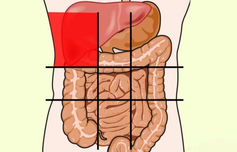 Боль в животе? Посмотрите на карту брюшной полости и определите недуг