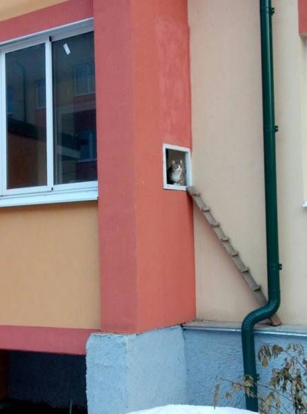 Забавные картинки и фото-приколы (47 шт)