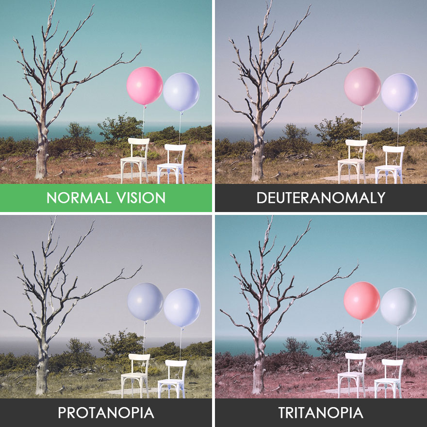 Как видит дальтоник и обычный. Мириглазами дальтоника. Дир глазами дальтоника. Как видят дальтоники. Как видят мир дальтоники.