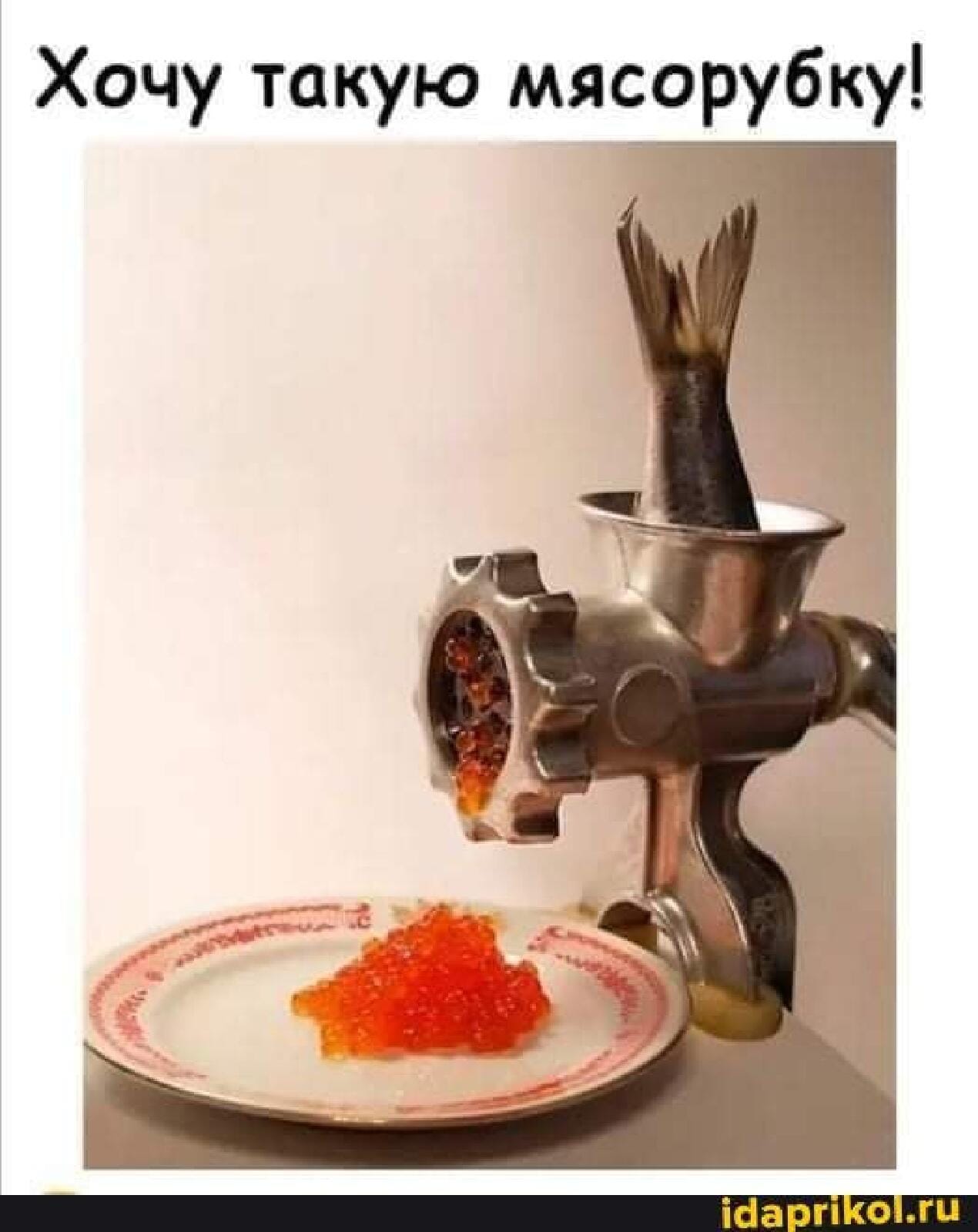 - Даю советы, как стать богатым! - А сам че такой бедный?!.. - Даю советы, как стать богатым! - А сам че такой бедный?!.. Весёлые,прикольные и забавные фотки и картинки,А так же анекдоты и приятное общение