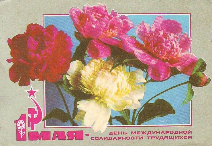 Первомай 2019 Первомай 2019