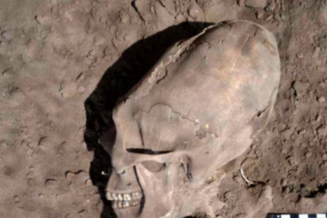 Археологи нашли тысячелетние останки людей с головами в форме яйца Антропология,культура,Курган,наука,Пространство,цивилизация