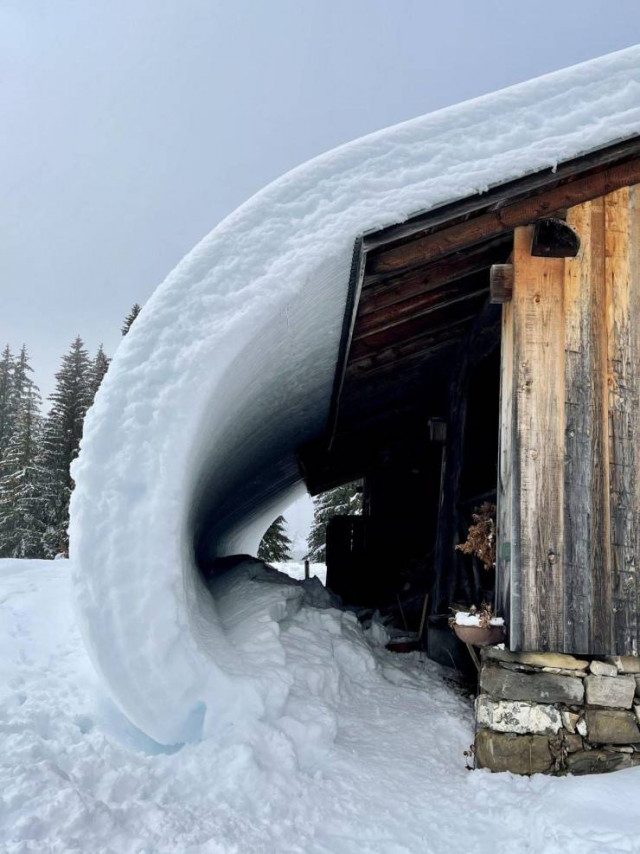 Приколы на любой вкус приколы,смешные картинки,юмор