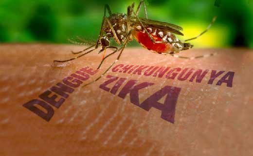 Zika-virus-01