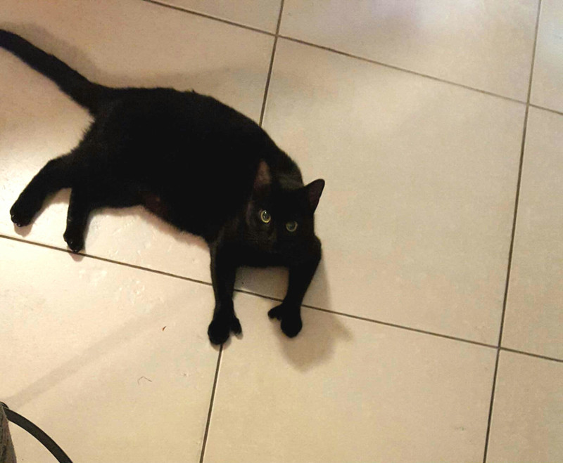 Очаровательный мутант люди, мир, фотография, явление