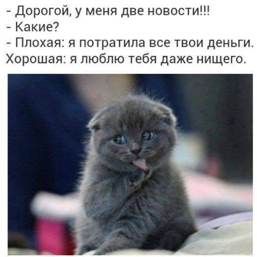 - Вы интеллигент? - Нет, у меня профессия есть анекдоты,веселые картинки,демотиваторы,юмор