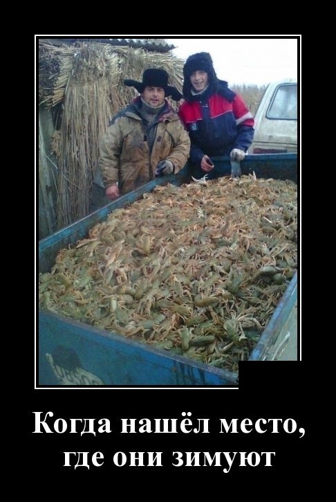 - Что означают пятна на Солнце? - Окна пора мыть! - Что означают пятна на Солнце? - Окна пора мыть! анекдоты,демотиваторы,приколы