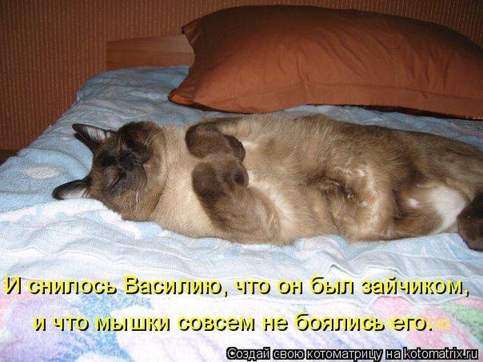 Мысли вслух :)