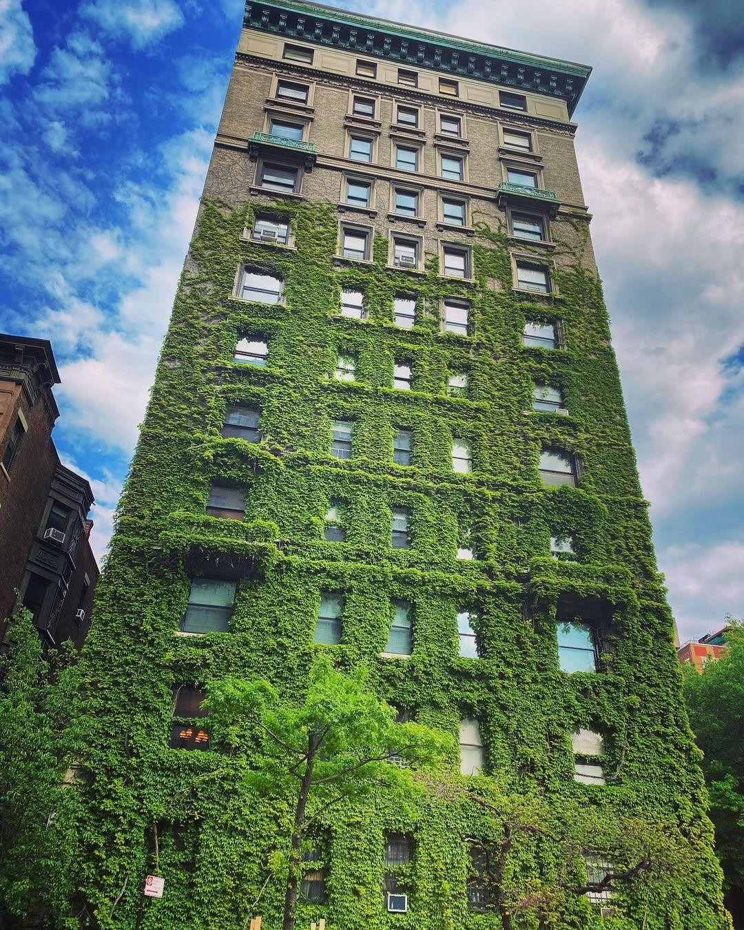 Вот так засосало... О домах, поглощённых плющом 