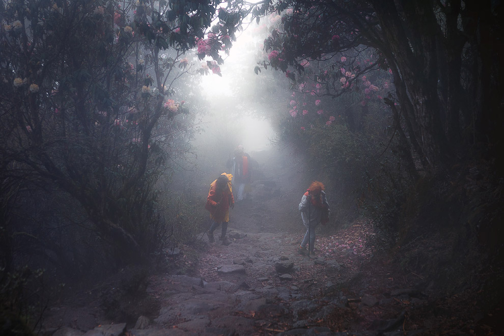 Лангтанг — территория мистических пейзажей Путешествия,фото