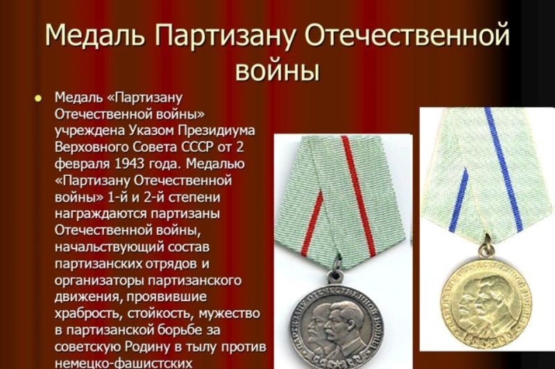 Медаль «Партизану Отечественной войны» война, история, партизаны