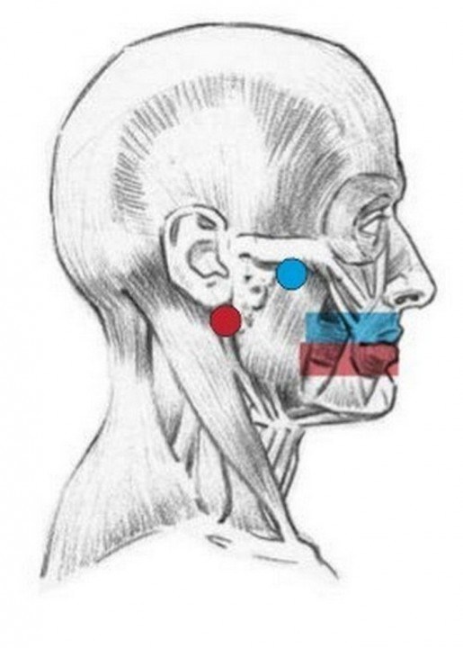 Советы, которые облегчат вам жизнь интересное, советы, познавательно