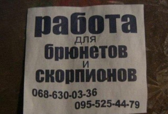 Смешные объявления: на работу требуется человек Смешные объявления: на работу требуется человек картинки,юмор