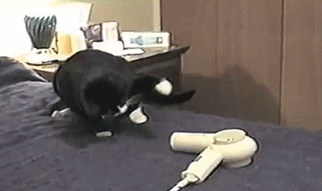 Подборка забавных жизненных гифок из сети Подборка забавных жизненных гифок из сети приколы, юмор