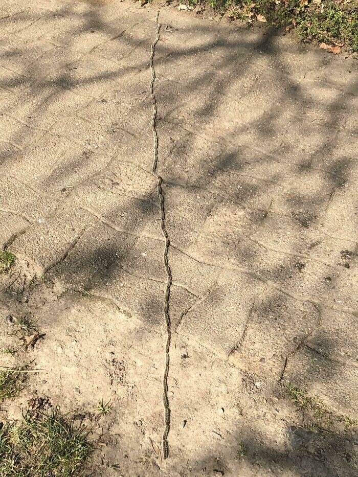 Bigpicture ru без названия 2022 10 10t092206.468