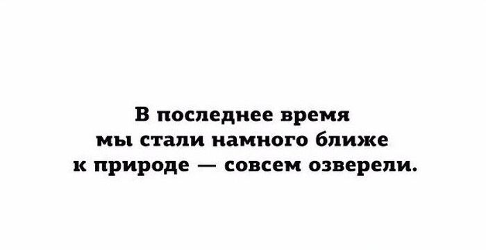 Подборка классных надписей к фотографиям и веселым картинкам 