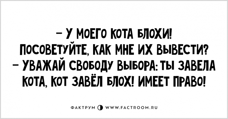 Чертовски забавные анекдоты, разгоняющие будничную скуку