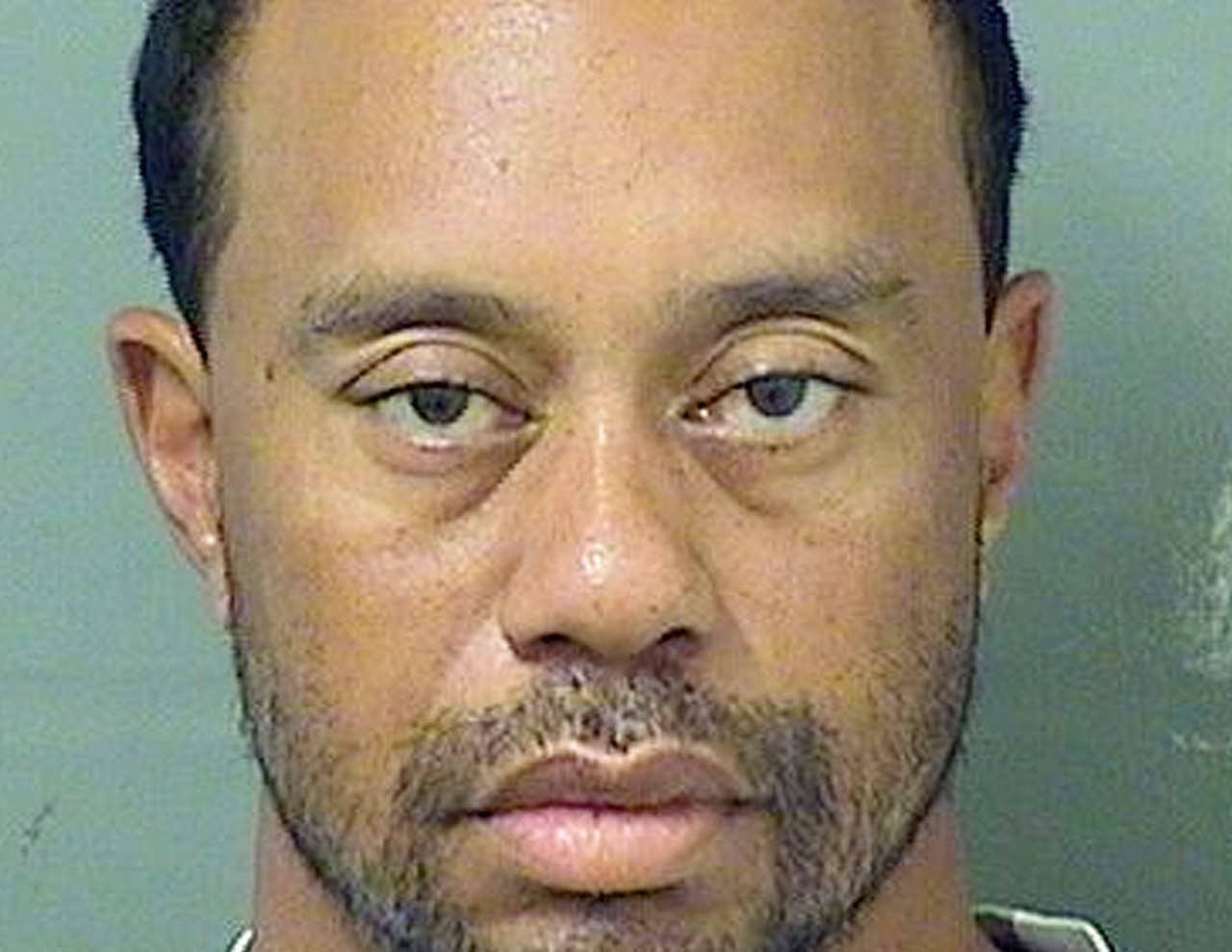 tiger woods mugshot