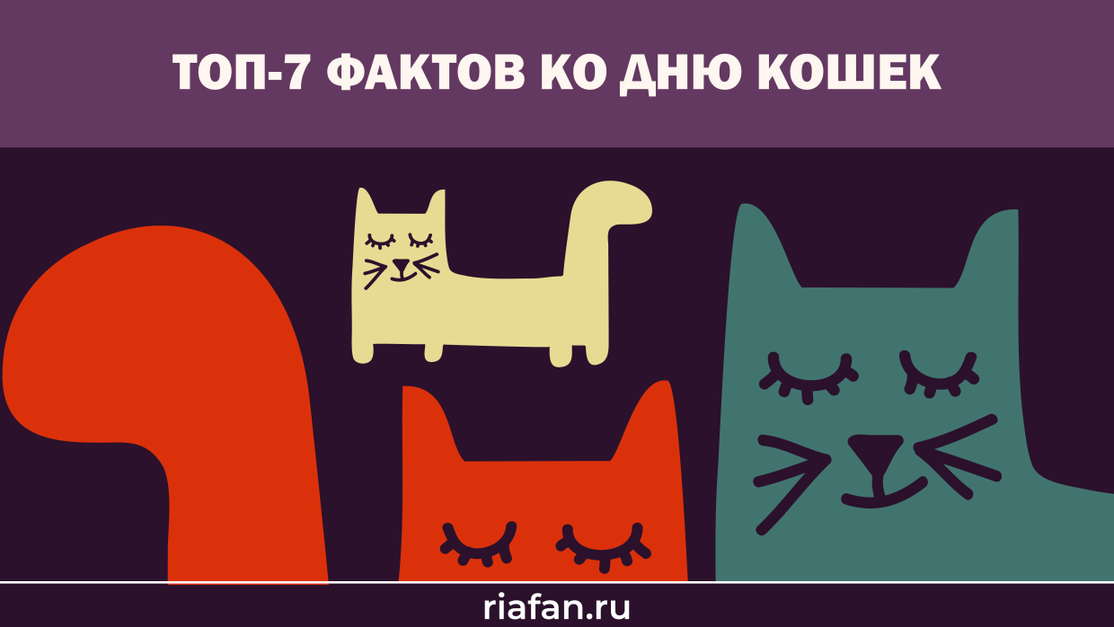 Внимание на мурлык: как отметить Всемирный день кошек в 2021 году