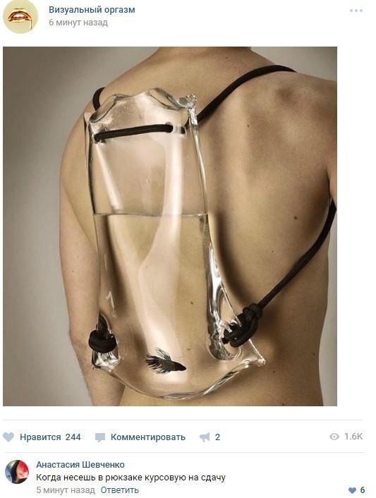 Смешные комментарии из социальных сетей картинки, приколы, юмор