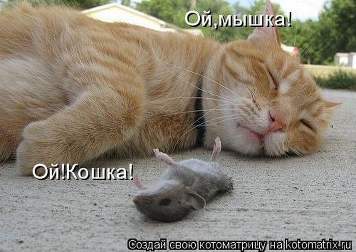 Мысли вслух :)