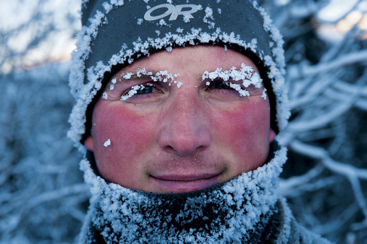 Картинки по запросу (Paul Nicklen)