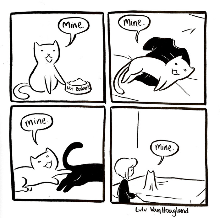 Cat Comics