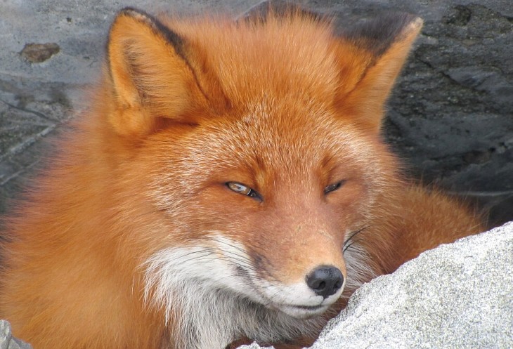 Курильские острова: романтика для истинных путешественников Курильские острова: романтика для истинных путешественников авиатур