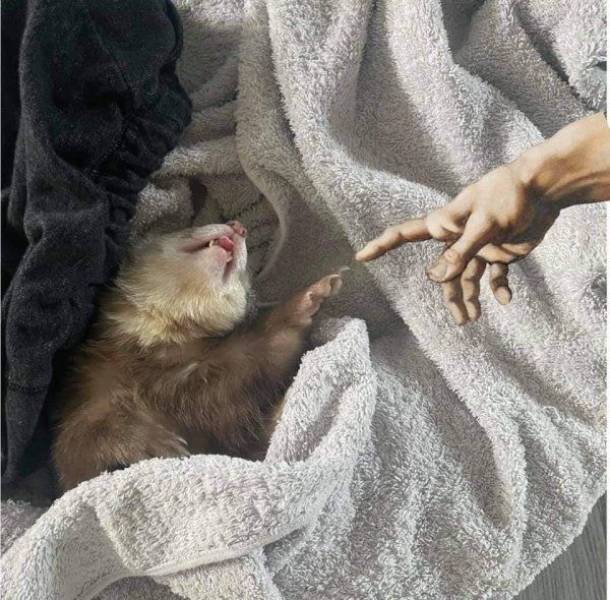 Подборка прикольных картинок  приколы,смешные картинки,юмор