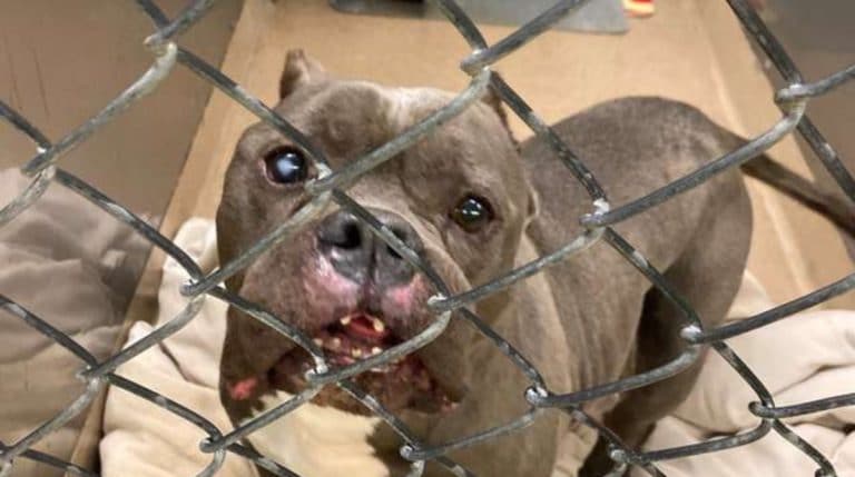 BeFunky-collage (11)